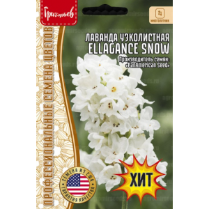 Лаванда Ellegance Snow узколистная  5шт.	(Григорьев)										