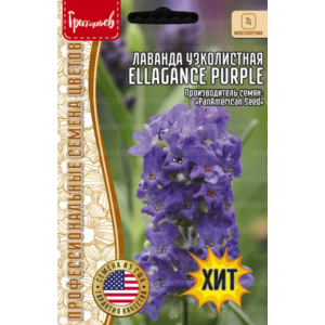 Лаванда Ellagance Purple узколистная  5шт.	(Григорьев)										