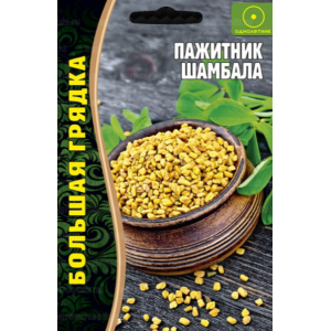 Пажитник Шамбала  3г (Григорьев)