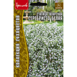 Статица Серебристо-Белая 10шт. (Григорьев)