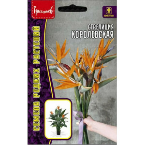 Стрелиция Королевская 3 шт. (Григорьев)