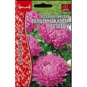 Астра Волшебный Ковёр Розовый карликовая (Colour Carpet Rose)  0,2 г (Григорьев)