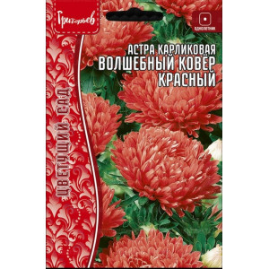Астра Волшебный Ковёр Красный карликовая (Colour Carpet Red)  0,2 г  (Григорьев)