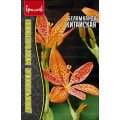 Беламканда Китайская  0,1г