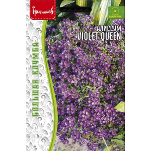 Алиссум Фиолетовая Королева (Violet Queen)  0,1г