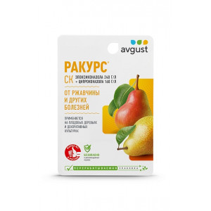 Ракурс  10мл