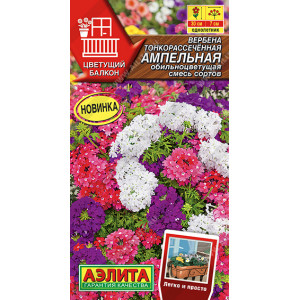 Вербена Ампельная обильноцветущая, смесь сортов 30шт Ц