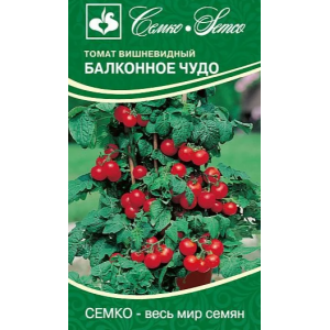 Томат Балконное чудо Семко