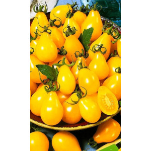 Томат Золотой колокольчик F1 - черри (УД) 