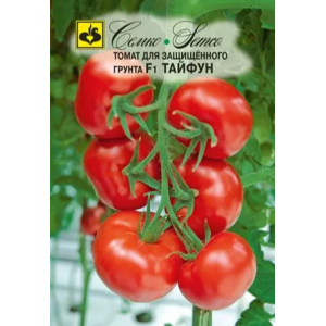 Томат Тайфун Семко