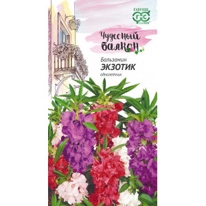 Бальзамин Экзотик,  карлик. 0,1г.(Г)
