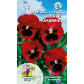 Виола Красный кардинал (УД)
