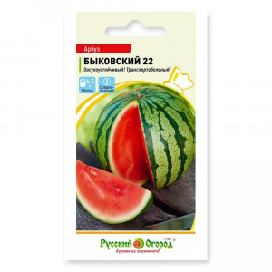 Арбуз Быковский 22  НК 