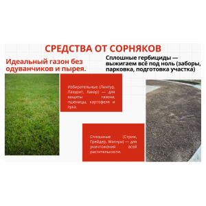 Бриг, кс 15мл от сорняков  на грядке (Щелково) 