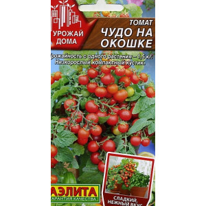 Томат Чудо на окошке Аэ Ц