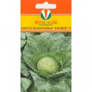 Капуста Пандион F1 RS (20 сем.)