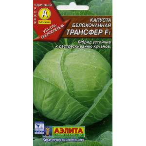 Капуста Трансфер F1 (0,3г.) Ц ультраскоросп.