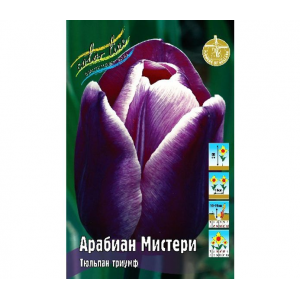 Тюльпан Арабиан Мистери