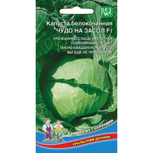 Капуста Чудо на засол ® F1 (0,3 гр.) (УД)