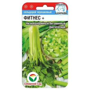 Сельдерей черешковый Фитнес+ (0,5 гр.) (Сиб сад)(10)