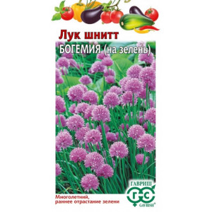 Лук Шнит Богемия 0,3 гр Г