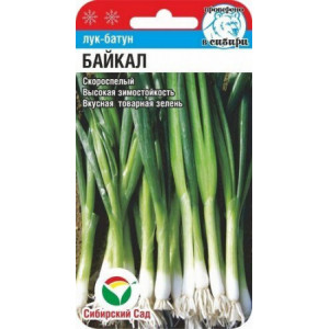 Лук батун Байкал 0,5гр (Сиб сад)