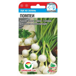 Лук на зелень Помпеи (0,5 гр.)(Сиб сад)