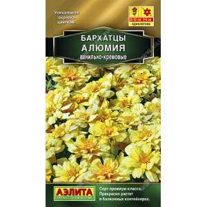 Бархатцы Алюмия ванильно-кремовые Ц