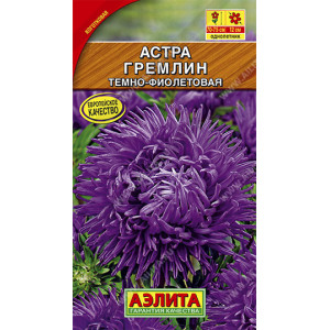 Астра Гремлин тёмно-фиолетовая (0,2г.)