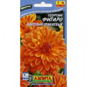 Георгина Фигаро оранж махровый (7сем.)