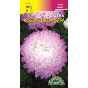 Астра Клеопатра кварцевая (ЦВ)