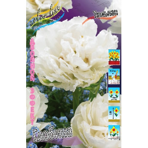 Тюльпан Глобина 11/12,МАХР.позд.(пак.10шт.)