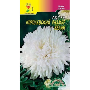 Астра Королевский размер Белая (0,1г.) (ЦВ)