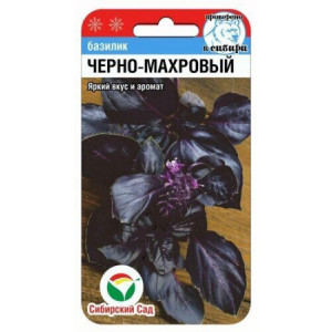 Базилик Черно-махровый (0,5 г) (Сиб сад)