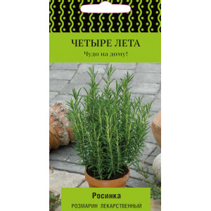 Розмарин Росинка П+Ц