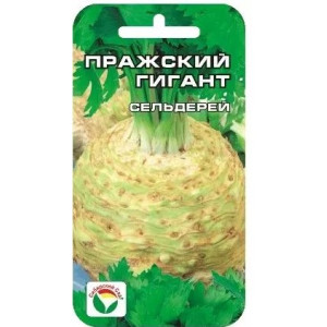 Сельдерей корневой Пражский гигант (0,5 г) (Сиб сад)(10)