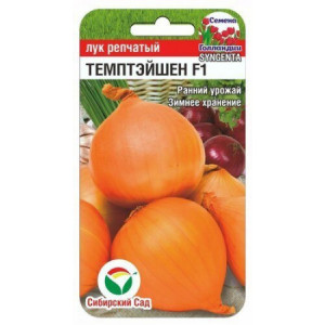 Лук Темптэйшен F1 (100 шт.) (Сиб сад)(10)