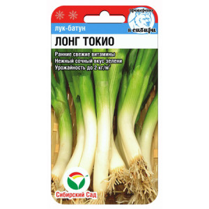 Лук батун Лонг Токио (0,5г.) (Сиб сад)(10)