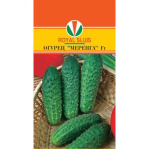 Огурец Меренга F1 RS (10сем.)