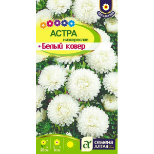 Астра Белый Ковер низкорослая/Сем Алт/цп 0,1 гр.
