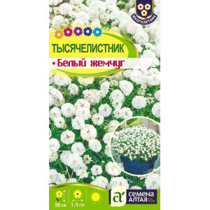Тысячелистник Белый жемчуг/Сем Алт/цп 0,05гр. многолетник