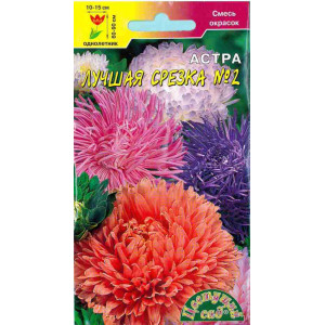 Астра Лучшая срезка 2 (ЦВ)