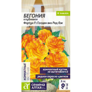 Бегония Фортун Голден виз Ред Бэк клубневая/Сем Алт/цп 5 шт. 