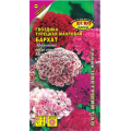 Гвоздика турецкая Бархат (0,3г) Ц