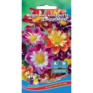 Георгина коларетте Дэнди микс (УД)