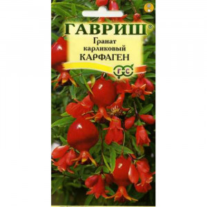 Гранат карликовый Карфаген 5 сем. (Г)