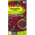 Гвоздика турецкая Нигриканс/Сем Алт/цп 0,1 гр. 