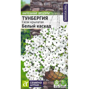 Тунбергия Сюзи Белый каскад крылатая (АЛТ) 