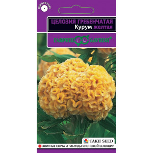 Целозия Курум желтая гребенчатая* 10 шт.  Г