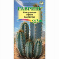 Цереус (кактус) Бамбино, 4 сем, Ц/п, Гавриш